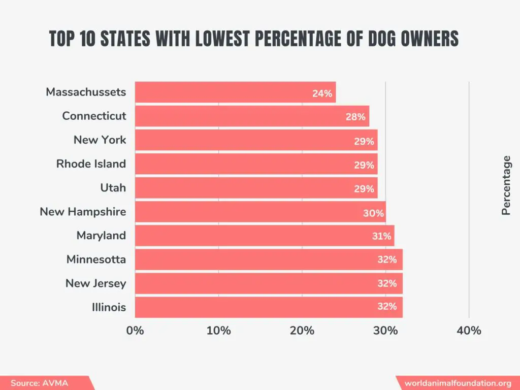 population de chiens