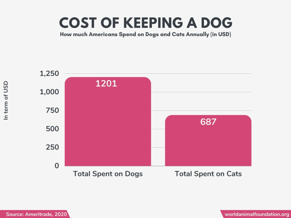 statistiques de chien