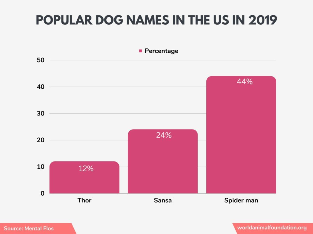 chiens aux Etats-Unis