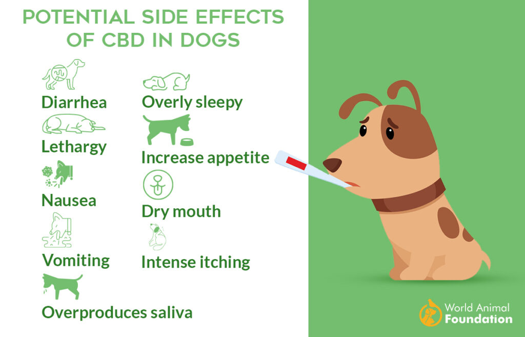 Effets secondaires du CBD