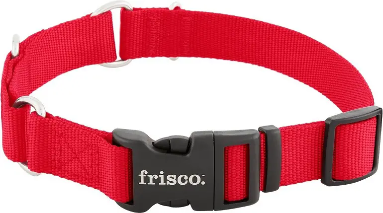 Frisco Solid Nylon Martingale Dog Collar with Buckle Review 1