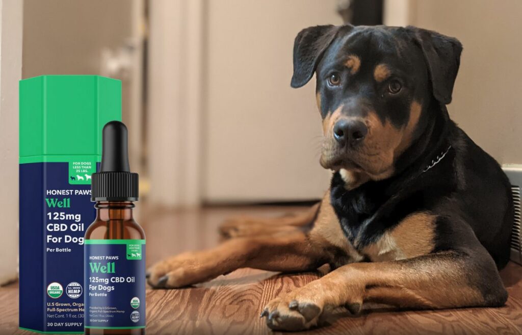 Huile de CBD Honest Paws