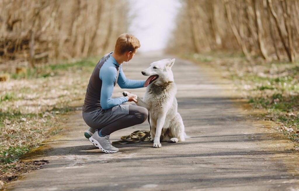 Comment les chiens sont devenus les meilleurs amis de l'homme