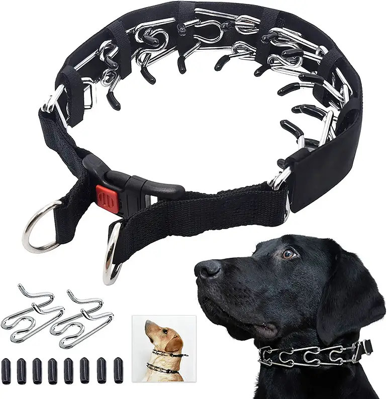 Mayerzon Prong Dog Collar Review 1