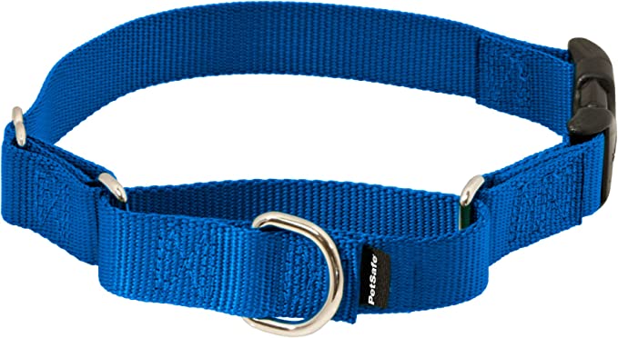 PetSafe Adjustable Martingale Collar