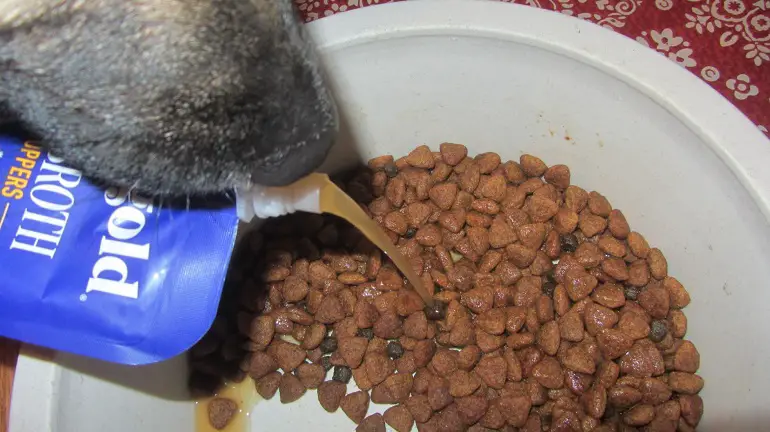 meilleur bouillon d'os acheté en magasin pour chiens