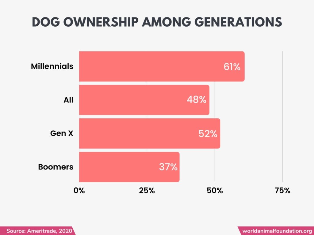 Propriété de chien entre générations
