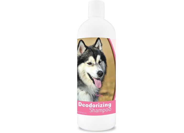 meilleur shampoing husky