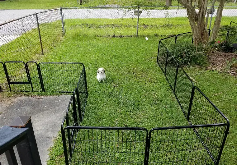 bonne clôture pour chiens