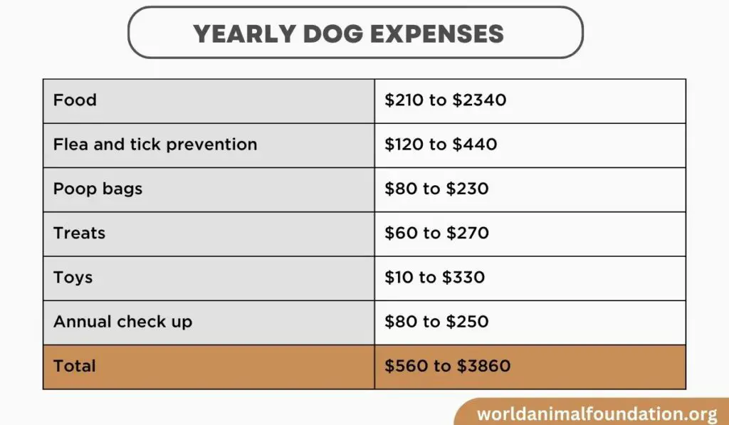 dépenses annuelles pour chiens