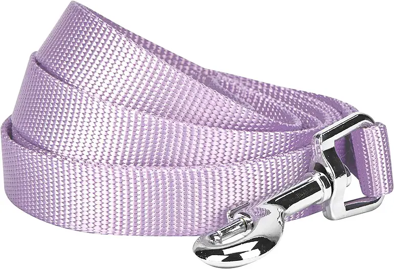 Blueberry Pet Essentials Classic Dog Leash review