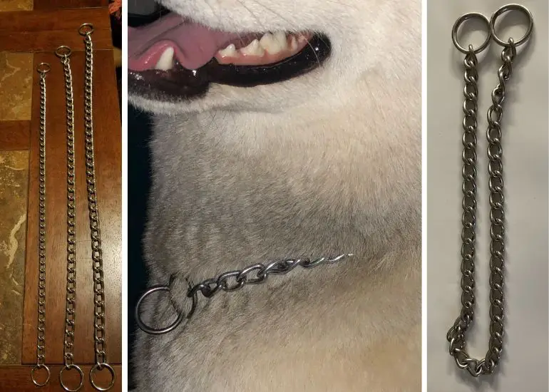 comment mettre un collier étrangleur sur un chien