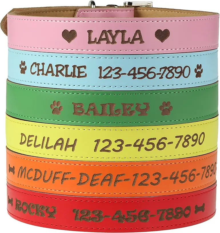 Custom Catch Personalized Dog Collar review 3