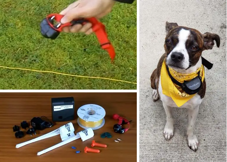 comment installer une clôture électrique pour chien