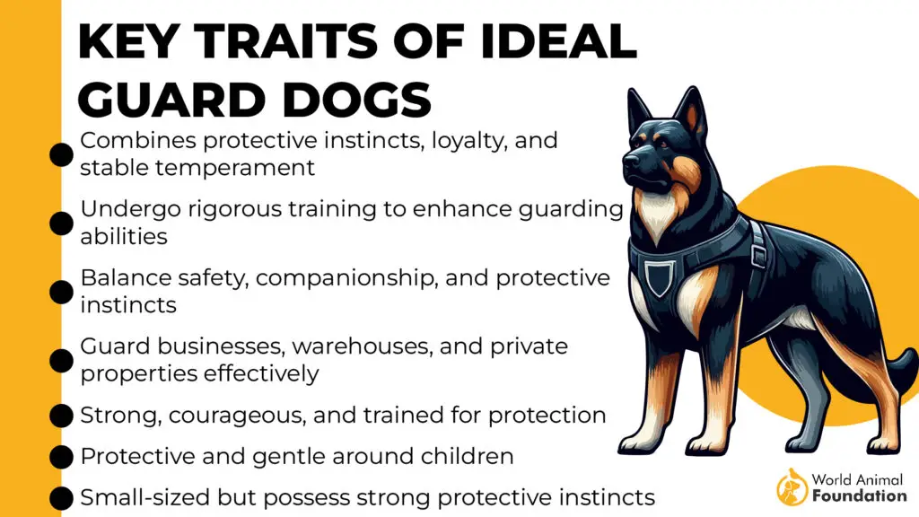 Traits-clés-des-chiens-de-garde-idéals-3