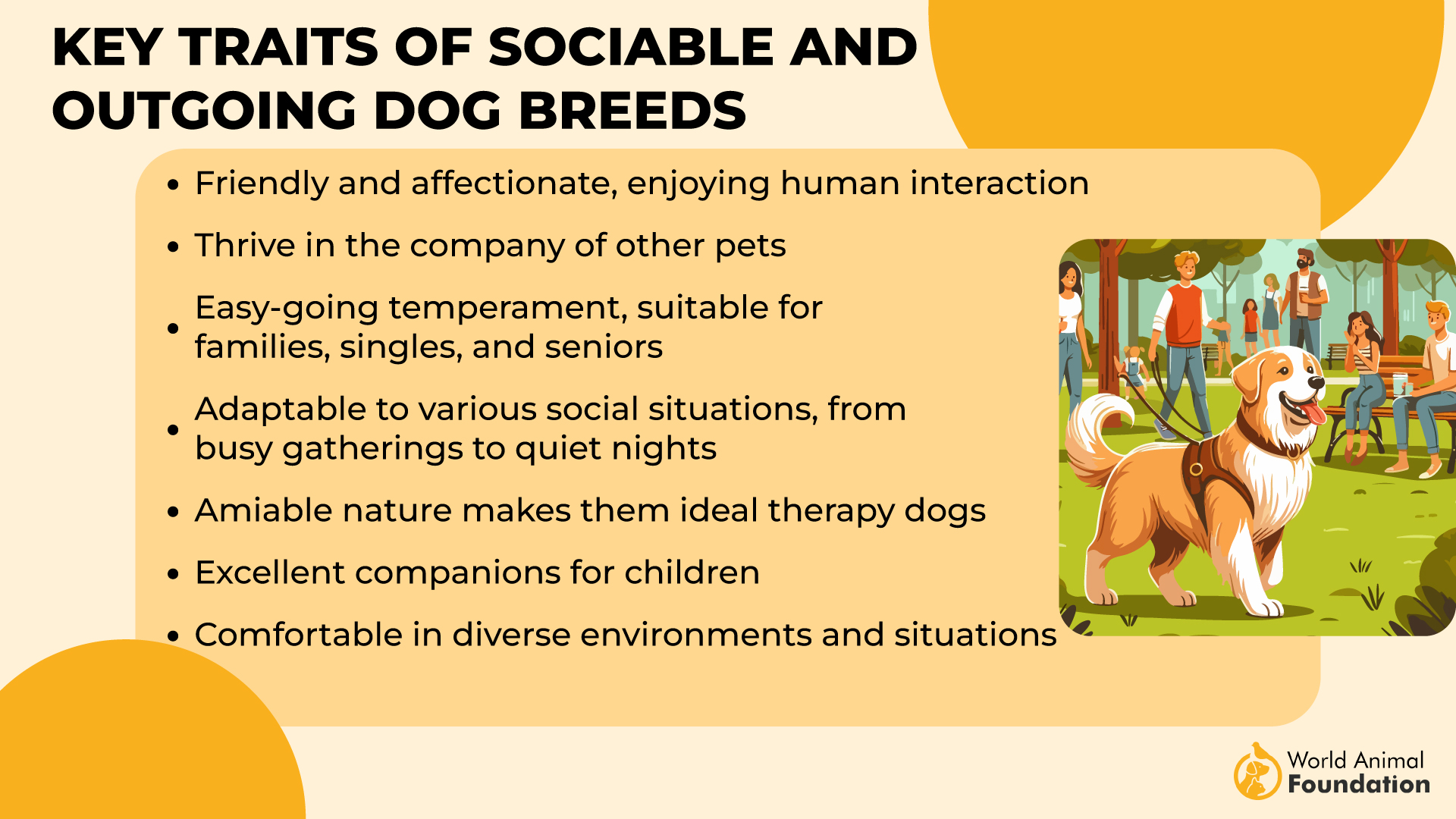 Traits clés des races de chiens sociables et extraverties-01