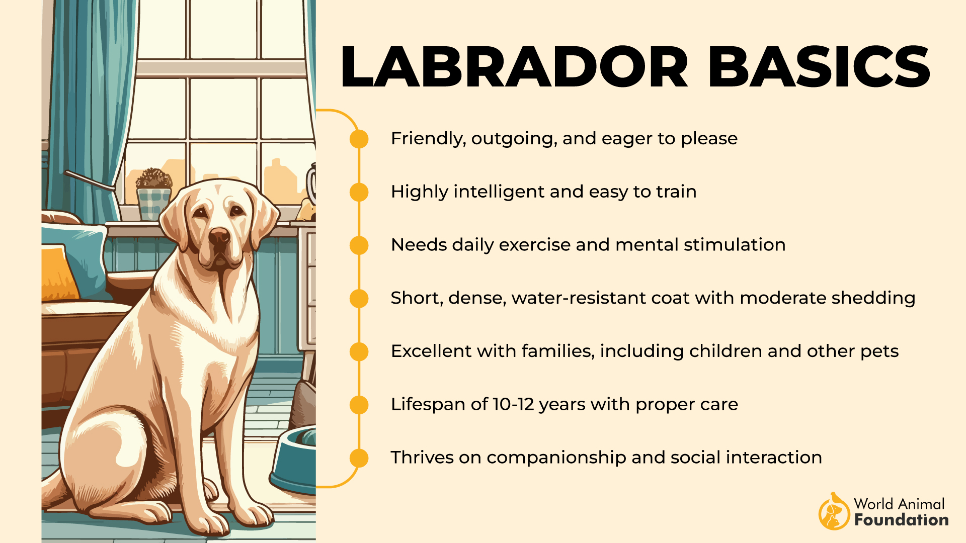 Bases du Labrador-01