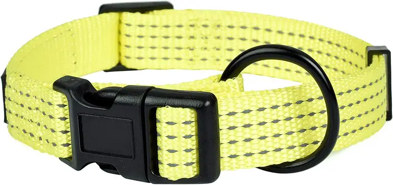 Mile High Life Night Reflective Dog Collar review