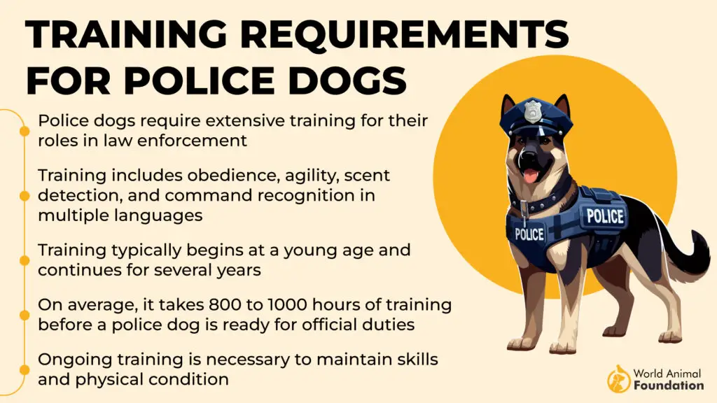 Exigences de formation pour les chiens policiers