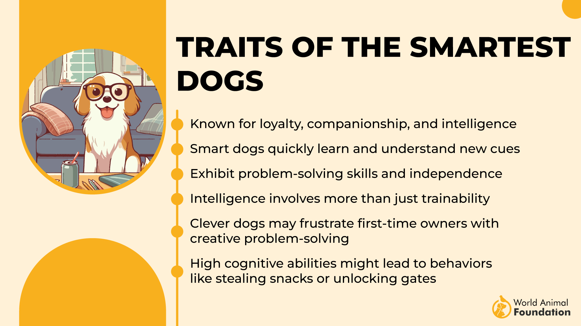 Traits des chiens les plus intelligents-01