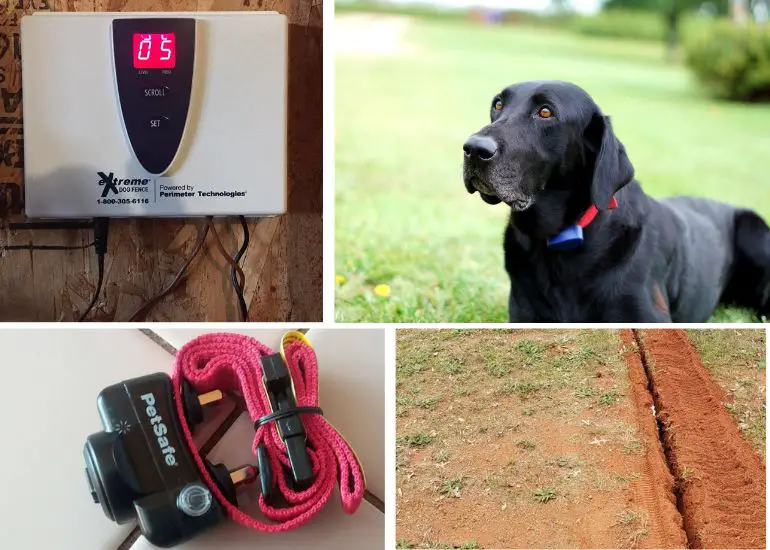 comment installer une clôture électrique pour chiens